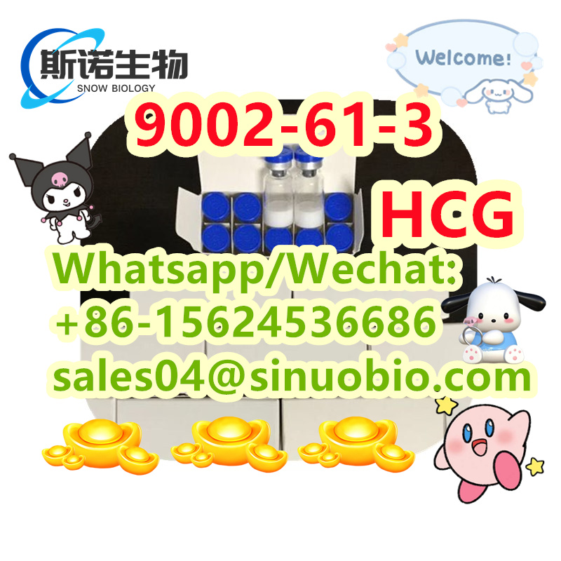 High Purity HCG CAS 9002-61-3 - 墨华网 (图3)